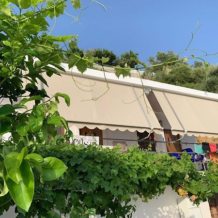 Sea La Vie Anesti Borsh Exterior foto